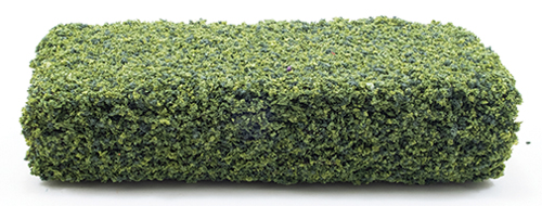 CAHGL - Hedges, Large, 1Pc