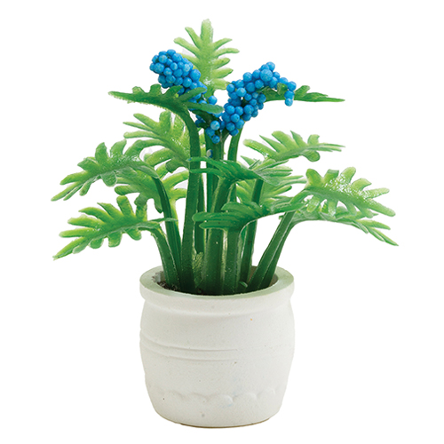 CAPP1 - Plant with Blue Flowers in White Pot