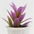 CAPP8 - Purple Plant in White Pot  ()