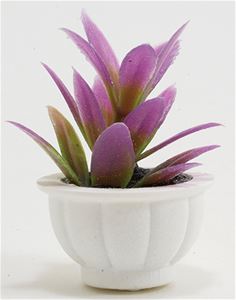 CAPP8 - Purple Plant in White Pot  ()