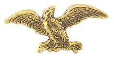 CAR36011 - Brass Eagle Plaque