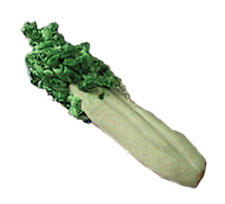CAR0041 - Celery Bunch