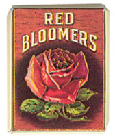 CAR1491 - Red Bloomers 2Pc Box