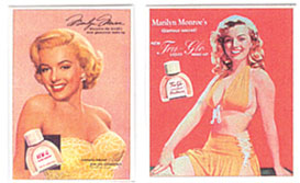 CAR1702 - Cosmetic Ad/2 Assorted