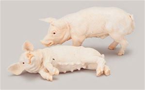 FCA1028 - Pigs - Set Of 2