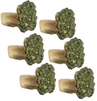 FCA1471 - Broccoli, 6Pc