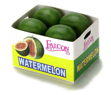 FCA1509 - Watermelon Case