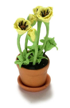FCA1563A - Yellow Poppy In Pot