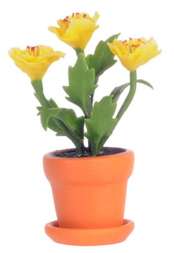 FCA1563B - Yellow Poppy In Pot