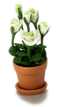 FCA1569 - White Rose Pot