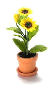 FCA1578 - Discontinued: Sunflower