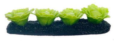 FCA1699S - Green Cabbages Garden, 1/2 Inch Scale
