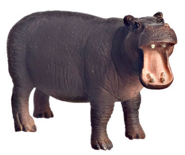 FCA1741 - Hippopotamus