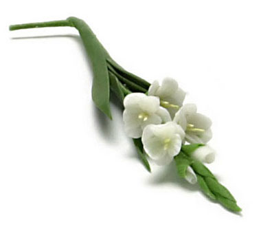 FCA1761WH - Gladiolus White, 2 Stem