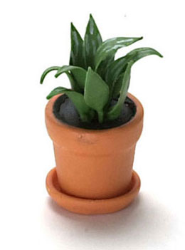 FCA1776 - Discontinued: House Plant
