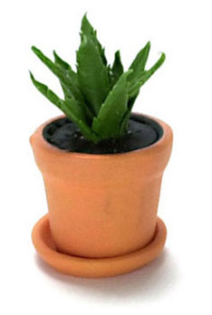 FCA1783 - Discontinued: House Plant