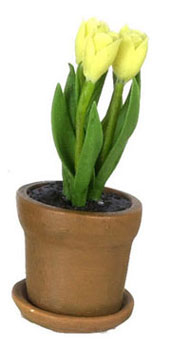 FCA2207YW - Tulip In Aged Pot, Yellow