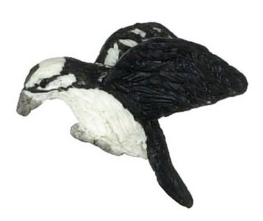 FCA2250 - Downy Woodpecker
