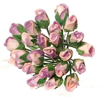 FCA3081LV - Rose, 2 Dz, Half Bloom, Lavender