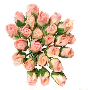FCA3081PY - Rose, 2 Dz, Half Bloom, Pink - Yellow