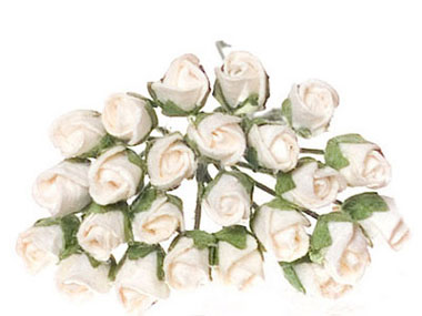 FCA3081WH - Rose, 2 Dz, Half Bloom, White