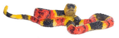 FCA3372L - .Eastern Coral Snake, Large, Yellow, Red &amp; Black