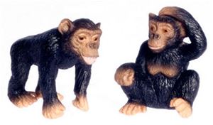 FCA3794 - Two Chimpanzee