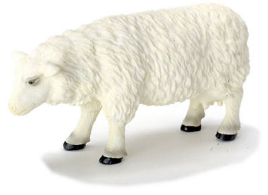FCA810 - Sheep/Female