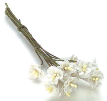 FCAB8138WH - Camellias, 12 Pcs, White