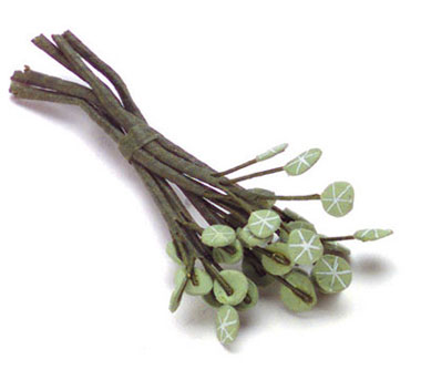 FCAB8151 - 6 White Vein Geranium Leaves