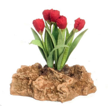 FCMR1027L - Tulips Plant On The Rock, Rd