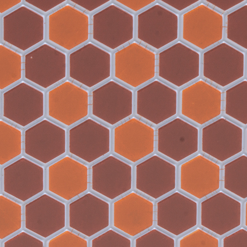 FF60693 - Tile Floor: 3/8 Hexagons, 11 X 15 1/2, Dark Terra Cotta/Terra Cotta