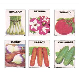 FR40151 - Seed Packets (Set Of 6)