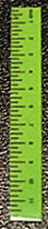 HR57010G - Ruler-Green, Set of 6
