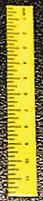 HR57010Y - Ruler-Yellow, Set of 6