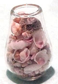 HR61002 - Discontinued: Shells In Tall Bowl