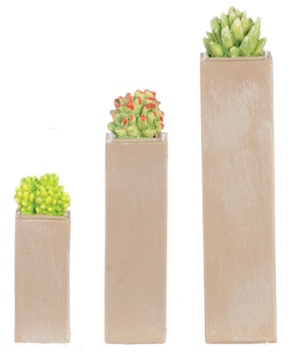 HW4047 - Resin Tall Square Succulents Set/3Pc