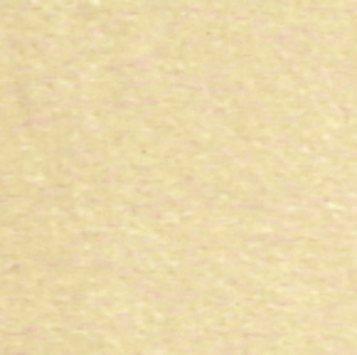 HW7904 - Foamback Carpet: Beige/Tan, 12 X 14