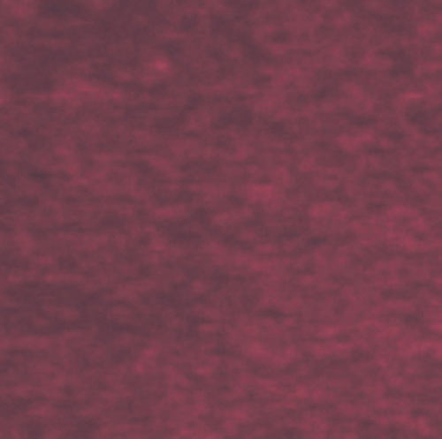 HW7946 - Foamback Carpet: Burgundy, 12 X 14