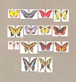 JKM902 - Butterfly Kit