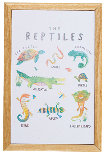 KCMKF75 - Reptiles Picture