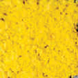 MBBLOSY - Blossoms, Yellow, 5G