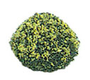 MBT15BY - Blossom Bush 1-1/2 Inches Tall, Yellow 2Pcs