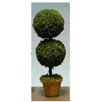 MBTOP12A - Topiary Large Round