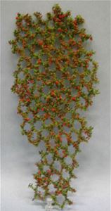 MBVINER - Vine Flowering 10 Inch Tall, Red