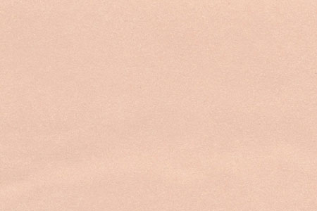 MG194D23 - Discontinued: Wallpaper, 3pc: French Bouquet Solid Blush