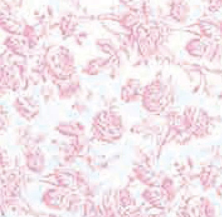 MG225D2 - Wallpaper, 3pc: Tiffany, Pink