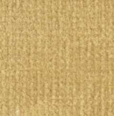 MG2345W - Carpet: Buff, 18 X 26