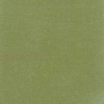 MG6175W - Carpet: Celery, 18 X 26