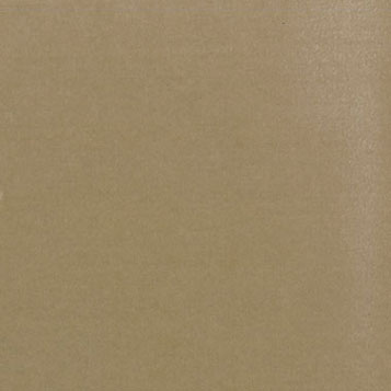 MG6181R - Carpet: Latte, 14 X 20